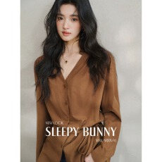 批发SLEEPYBUNNY 法式复古V领系带收腰<b class='q'>长袖</b><b class='q'>衬衫</b>女春休闲慵懒气质上衣
