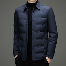 批发羽绒服男2024秋冬新款<b class='q'>商务</b><b class='q'>休闲</b>中青年男士轻薄翻领白鸭绒外套纯色