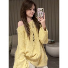 批发春<b class='q'>夏</b>气质欧货显瘦女装百搭经典时尚韩系潮流简约2025秋冬上衣