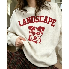 批发<b class='q'>韩版</b>薄款 加绒印花套头卫衣女慵懒风长袖上衣外套