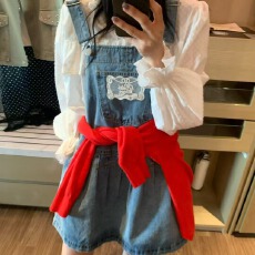 批发春季款时尚<b class='q'>百搭</b>牛仔背带裙