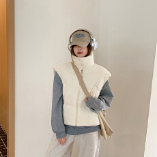 批发实拍韩系百搭棉服马甲女冬季<b class='q'>新款</b>ins叠穿坎肩立领背心外套上衣女