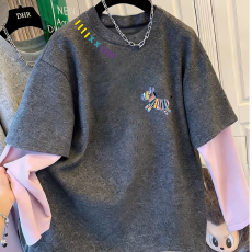 批发超好看小马撞色磨毛保暖假两件T恤<b class='q'>卫衣</b>打底衫宽松内搭上衣女