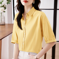 批发实拍洋气显瘦夏季<b class='q'>新款</b>女装短袖翻领纯色雪纺开衫衬衫打底衫衬衣