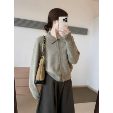 批发话里简约风娃娃领浣熊开衫2025秋季新款<b class='q'>韩版</b>翻领显瘦上衣针织衫女