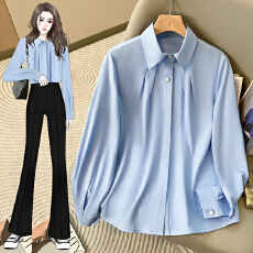 批发<b class='q'>衬衫</b>女<b class='q'>衬衣</b>职业面试高级感抗皱正装上衣长袖