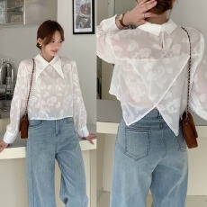 批发实拍有货 法式复古提花微透不规则<b class='q'>娃娃领</b>衬衫