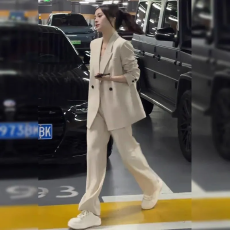 批发高级感气质西装套装女春夏新款休闲设计感轻奢职业西装两件套正装