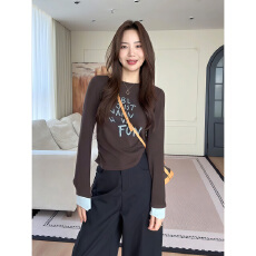 批发官图240克雪花羊绒长袖t恤<b class='q'>打底衫</b>女薄款春秋撞色新款宽松圆领上衣