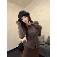 批发实拍特价310克山羊绒长袖t恤打底衫女春秋纯色开衫新款衬衫领上衣