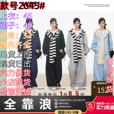 批发WESTAYONE 运动灰色卫衣套<b class='q'>装</b><b class='q'>女</b>秋韩系宽松慵懒风休闲卫裤2025新款