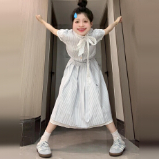 批发2026新款夏季韩系冷淡系高级感长裙蓝色学院风条纹<b class='q'>衬衫</b>连衣裙子女