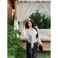 批发实拍 气质优雅波点<b class='q'>雪纺衫</b>春夏新款飘带V领收腰显瘦长袖上衣