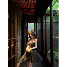 批发早秋新款时尚女装<b class='q'>连衣裙</b>
