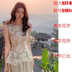 批发木子李的李绣光映日温柔立体蕾丝花朵背心无袖圆领上衣半裙套装