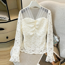 批发实拍法式气质拼接网纱v领蕾丝衫女秋冬<b class='q'>新款</b>优雅修身打底长袖上衣