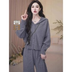 批发2026秋季新款时尚套装女洋气减龄宽松连帽上衣女高腰阔腿<b class='q'>裤</b><b class='q'>两件套</b>