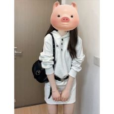 批发官图【+原版质量】韩系连帽卫衣<b class='q'>连衣裙</b>女秋季款休闲