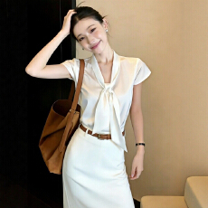 批发法式白色短袖<b class='q'>衬衫</b>女款2026新款<b class='q'>ol</b>职业通勤女装轻奢高级感<b class='q'>衬衫</b>上衣