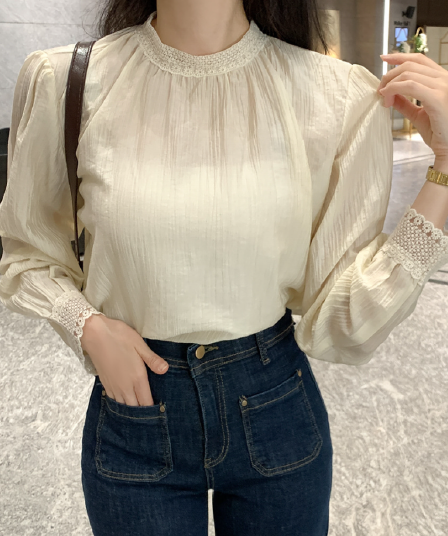 프랑스식 품격 레이스 긴팔 스탠드 칼라 여성 셔츠 2026 이른 가을 새로운 셔츠 루즈핏 인사이드 가져 가라. 디자인 센스 맨위