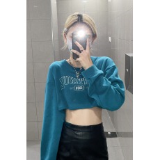 韩版字母刺绣短款卫衣女2025年新款宽松设计感小众薄款套头上衣棉