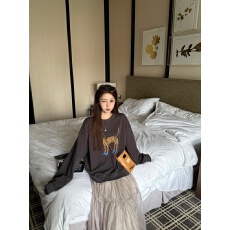 2025年夏季新款美式复古豹子印花长袖卫衣女秋季显瘦