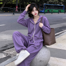 批发紫色连帽拉链卫衣套装女春秋休闲宽松外套束脚长裤两件套<b class='q'>运动</b>套装