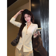 批发实拍长袖<b class='q'>t</b><b class='q'>恤</b>打底衫女装薄款潮春秋新款修身拉链纯色立领上衣