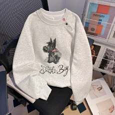 批发实拍 纯棉华棉复合牛奶丝卫衣女装潮春秋新款薄款宽松圆领上衣