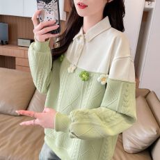 批发实拍 2026新款提花韩版<b class='q'>宽松</b>polo领设计感长袖<b class='q'>卫衣</b>女