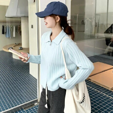 韩系坑条慵懒风双拉链翻领针织开衫女秋天穿搭独特漂亮小个子上衣