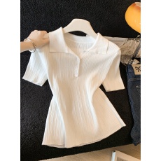 批发老钱白月光~2026夏季新款修身米白polo领翻领冰麻针织<b class='q'>中袖</b><b class='q'>上衣</b>