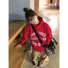 批发小红书防棉华棉复合牛奶丝300克银狐绒400克无绳无袋连帽卫衣女