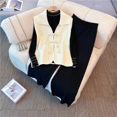 批发实拍2025新款大码女装<b class='q'>胖</b><b class='q'>mm</b>新中式国风盘扣马甲打底衫阔腿裤三件套