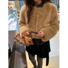 批发INS韩国东大门环保皮草毛毛外套女2025秋冬新款毛茸茸上衣