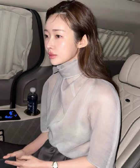 재고 있음 2026 여름 신제품 마이크로 ~을 통해 얇고 가벼운 작은 대중 우아함 스카프 칼라 거품 소매 셔츠 맨위 여성