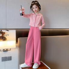 批发女童春季条纹连帽套装2025新款<b class='q'>儿童</b>洋气女大童秋装<b class='q'>开衫</b>休闲两件套