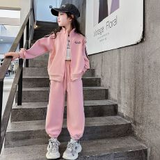 批发<b class='q'>女</b><b class='q'>童</b><b class='q'>春秋装</b>运动套装2026<b class='q'>女</b>孩中<b class='q'>大</b>童卫衣春秋款时髦洋气休闲两件套