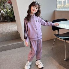 批发<b class='q'>女</b><b class='q'>童</b><b class='q'>套</b>装<b class='q'>2026</b>新款春秋季中<b class='q'>大</b>童洋气时髦休闲卫衣外套束脚裤两件套