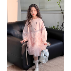 批发女童春秋款连衣裙2025新款儿童洋气时髦女孩公主风网纱拼接卫衣裙