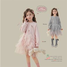 批发女童连衣裙2025秋季新款儿童裙子春装洋气网纱卫衣裙小女孩公主裙