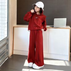 批发女童卫衣套装春秋装2026新款洋气<b class='q'>儿童</b>女孩加厚连帽衫阔腿<b class='q'>裤</b><b class='q'>两件套</b>