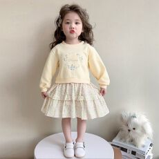 批发女童卫衣<b class='q'>裙</b>秋款2026新款<b class='q'>儿童</b>洋气女孩时髦碎花假两件拼接连衣<b class='q'>裙</b>潮