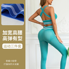 批发美背<b class='q'>显瘦</b>支撑<b class='q'>运动</b>内衣女防震跑步长裤健身文胸背心式条纹瑜伽套装