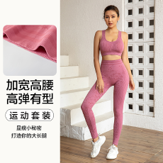 批发透气长裤高腰防震聚拢美背内衣两件套<b class='q'>提</b><b class='q'>臀</b>运动瑜伽服套装<b class='q'>女</b>速干