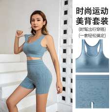 批发宅家夜间健身套装女无噪音螺纹针织防震美背运动内衣两件套提臀