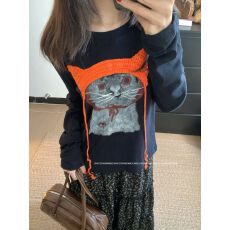 批发实拍<b class='q'>长袖</b>t恤打底衫女装薄款春秋新款卡通刺绣花圆领韩版上衣