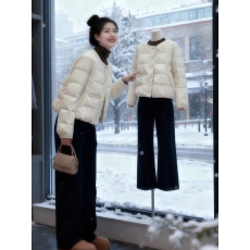 批发小个子轻薄简约高级棉服<b class='q'>女装</b>2025冬季新款时尚圆领宽松保暖<b class='q'>短外套</b>