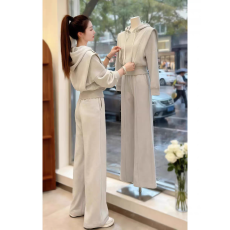 批发2025巨好看的秋装韩系百搭<b class='q'>休闲</b>慵懒风灰色连帽卫衣裤子两件套装女