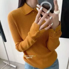 批发<b class='q'>欧洲站</b>2025秋季<b class='q'>新款</b>欧货翻领纯色细羊毛针织衫简约显瘦百搭打底衫